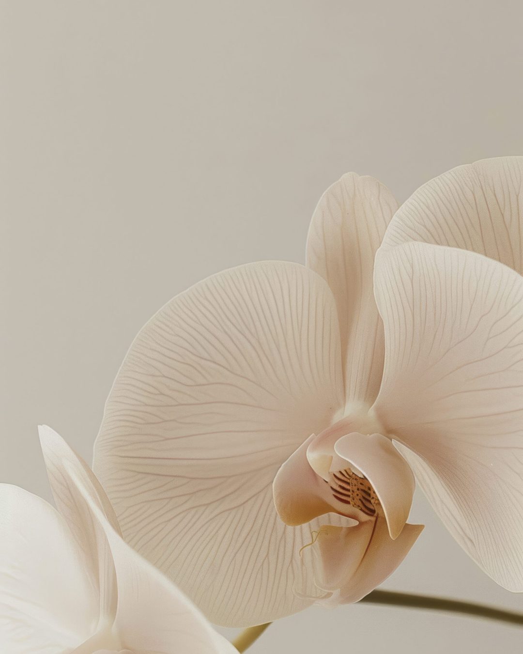 Makestories.com - Natural Beauty - Vol 01 -68